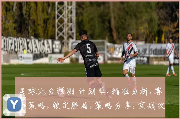 足球比分预测 计划单,精准分析,赛事策略,锁定胜局,策略分享,实战攻略,一网打尽。