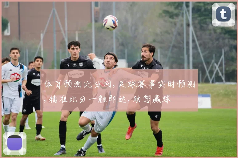体育预测比分网,足球赛事实时预测,精准比分一触即达,助您赢球